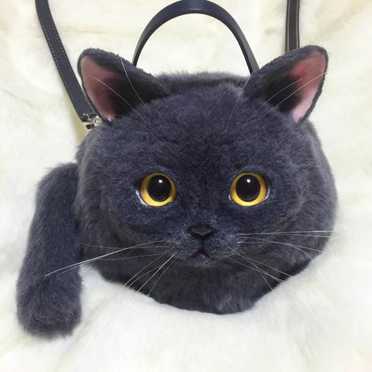 Pico-cat-handbags3